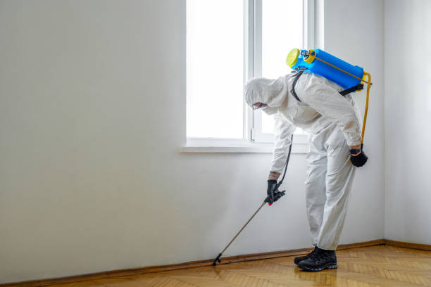 Best Pest Prevention Services  in Chinook, MT